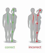 Image result for Posture Alignment