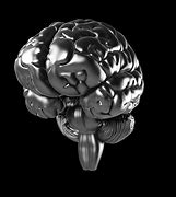 Image result for Metal Brain with an X