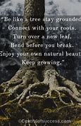 Image result for Quote About Never Forget Your Roots