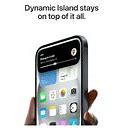 Image result for iPhone 15 Plus Outdoor Looks