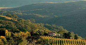 Image result for Brindabella Hills Riesling