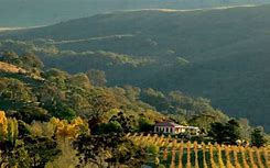 Image result for Brindabella Hills Aureus