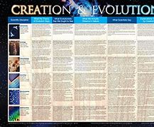 Image result for Creation vs Evolution Chart