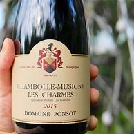 Image result for Ponsot Chambolle Musigny