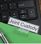 Image result for Best for Joint Custody Schedule