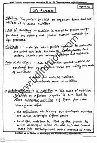 Image result for Class 10 Bio CH Life Processes Notes