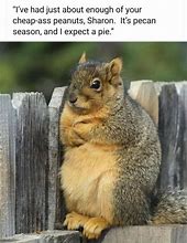 Image result for Parts of an Animal Meme