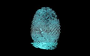 Image result for Fingerprint to Enter a Place with Security
