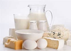 Image result for Casein in Milk