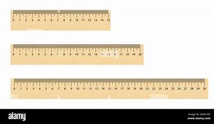 Image result for How Big Is 20 Cm