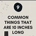 Image result for 10 Inches Items