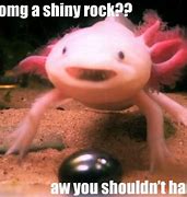 Image result for Smiling Axolotl Meme