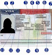 Image result for USA Visa Number Location