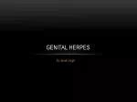 Image result for Genital Herpes Disease