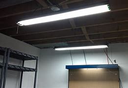 Image result for Fluorescent Case Lighting