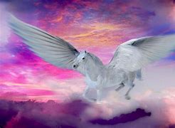 Image result for Colorful Pegasus