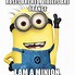 Image result for Minion Boomer Jokes