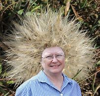 Image result for Bad Hair Day Woman Funny