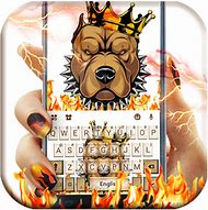 Image result for Pitbull Typing Keyboard