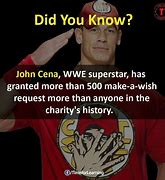 Image result for John Cena Biography Infographic