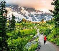 Image result for Seattle Washington Mount Rainier National Park