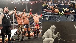 Image result for Other WWE Types