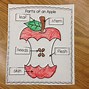 Image result for Apple Life Cycle Preschool Printable