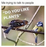 Image result for Relatable Introvert Memes