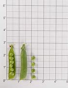 Image result for Pea Sized Amount