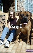 Image result for Cast of the Record Stray X