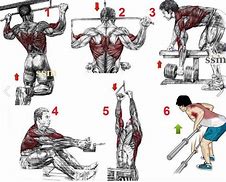 Image result for Most Effective Back Exercises