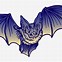 Image result for Bat Wing Pattern