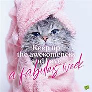 Image result for Happy New Week Funny
