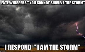 Image result for Fight the Storm Meme If
