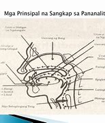 Image result for Gitna Ng Bahagi Ng Bibig