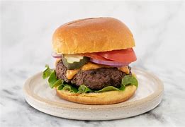 Image result for bison burger patties