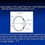 Image result for Foveal Angles