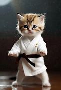 Image result for Dojo Cat Meme