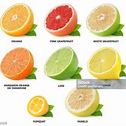 Image result for Citrus Fruits List