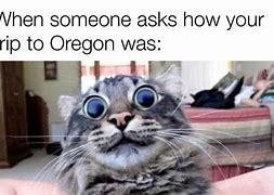 Image result for Boring Oregon Meme