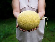 Image result for Round Shape Fruit Cartoon