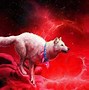 Image result for Blue Moon Wolf