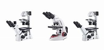 Image result for Pocket Microscope