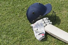 Image result for Cricket Gear Storage Units