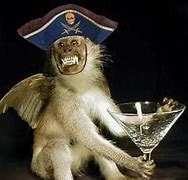 Image result for Awkward Birthday Monkey Meme