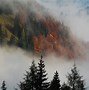 Image result for mountains backgrounds foggy