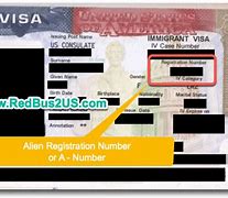 Image result for Where to Find a Number USCIS