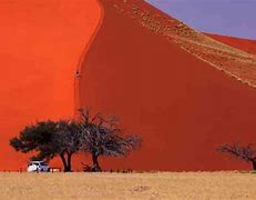 Image result for Namib Desert Safari