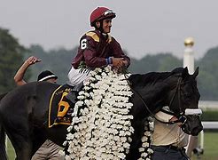 Image result for Horse in Winners Circle Pix