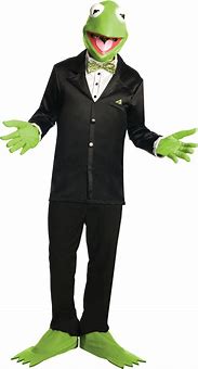 Image result for Kermit Frog Costume